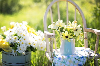 Rustic garden scene with daisies in a vintage setting. Perfect for summer themes. HD wallpaper