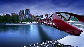 Peace Bridge, world, bridge HD wallpaper
