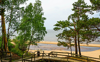 Beach in Latvia, sea, birches, Latvia, beach, wooden HD wallpaper