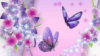 butterfly purple star HD wallpaper