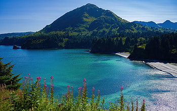Kodiak, Alaska, trees, summer, sea, coast, usa HD wallpaper