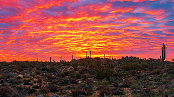 Desert Sunrise Skies In North Scottsdale Arizona, sky, landscape, clouds, colors, cactuses, usa HD wallpaper