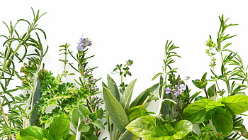 Herbs, Refreshing aromas, Culinary delights, Natural flavors HD wallpaper
