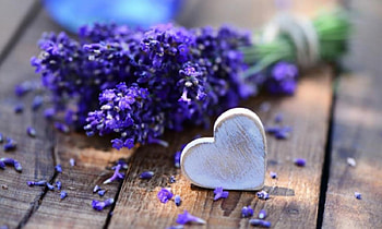 purple, flowers, heart HD wallpaper
