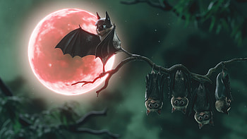 Bats Funny , batman, superheroes, funny, artist, artwork, digital-art, artstation HD wallpaper