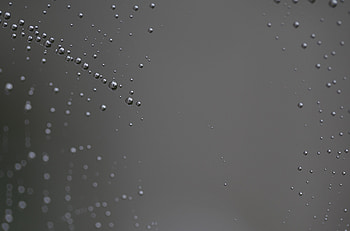 Web, Drops, Macro, Texture, Textures HD wallpaper