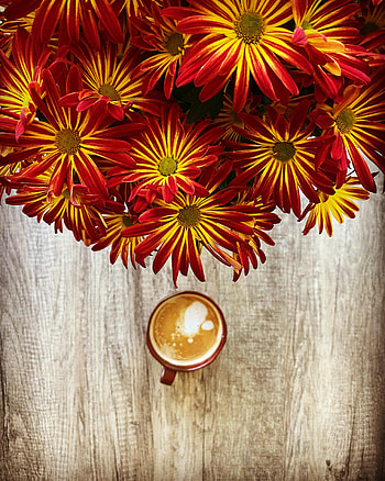 Flowers, Coffee, Miscellanea, Miscellaneous, Cup, Bouquet, Mug HD phone wallpaper