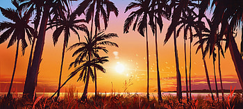 Sunset, silhouette, palms at beach, artwork HD wallpaper