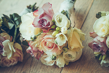 Flowers, Roses, Typography, Registration, Bouquet, Composition HD wallpaper