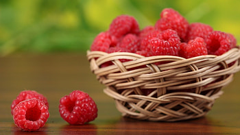 Raspberry , Vibrant fruit, Refreshing snack, Bursting with antioxidants HD wallpaper