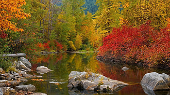 Landscape, Rivers, Autumn HD wallpaper