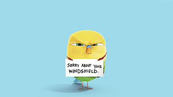 Bird In The Secret Life Of Pets, the-secret-life-of-pets, movies, animated-movies, cartoons HD wallpaper