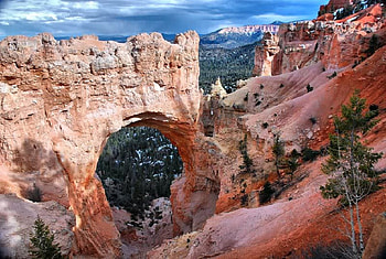 Natural Wonders, sky, canyon, rock, tree HD wallpaper