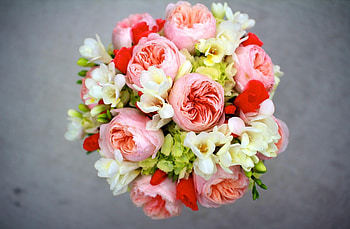 Flowers, Peonies, Bouquet, Hydrangea, Lisiantus Russell, Lisianthus Russell, sia HD wallpaper