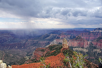 The Grand Canyon, art, canyon, trees, nature, mountians, hill HD wallpaper