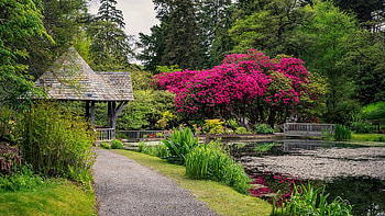 A beautiful day in early spring, park, blossoms, gazebo, trees, landscape, pond HD wallpaper
