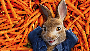 Peter Rabbit tales, Whimsical adventures, Mischievous mischief, Garden wonders HD wallpaper