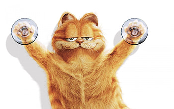 Garfield 2004, afis, white, pisici, garfield, funny, cat, orange, ginger, poster HD wallpaper