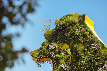 Coachella 2022, Art installations, TikTok sensations, Influencer hotspot HD wallpaper