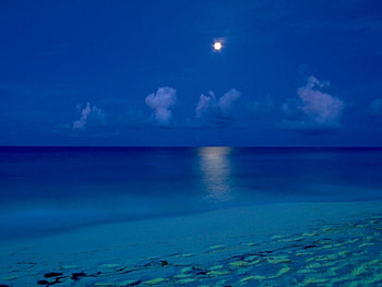blue sunset, blue, moon, nature, sunset, beauty HD wallpaper
