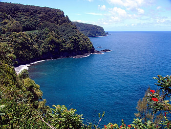 East Maui Sea Cliffs, trees, water, cliff, ocean HD wallpaper