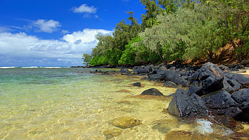 Nature, Water, Trees, Stones, Sand, Summer, Shore, Bank, Transparent, Heat HD wallpaper