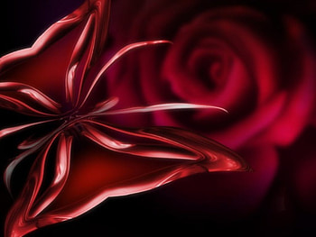 flowery butterfly, butterfly, red, flower HD wallpaper