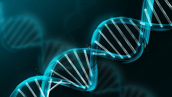 Abstract, Dark, Lines, Figure, Spiral, Dna HD wallpaper
