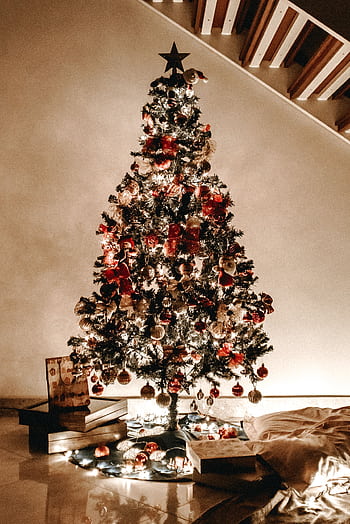 Beautifully decorated Christmas tree illuminated with lights, surrounded by gifts, creating a festive ambiance indoors. HD phone wallpaper