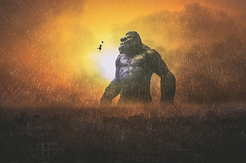 King Kong , king-kong, movies, behance HD wallpaper