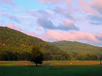 After the Rain, sky, field, tree, mountain HD wallpaper