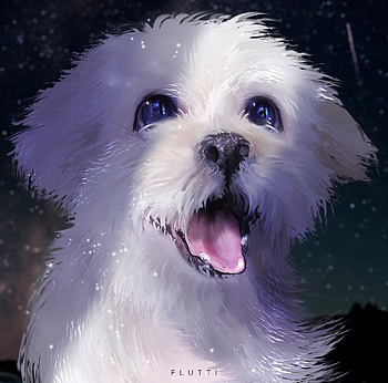 Scallywag, white, puppy, fantasy, art, face, cute, caine, flutti, dog, charline k HD wallpaper
