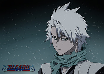 Hitsugaya Toshiro, Bleach, Anime, Warrior, Manga HD wallpaper