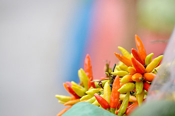 Food, Chile, Honduras, Tegucigalpa HD wallpaper