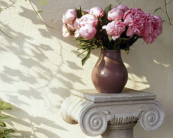 peones bouqet, summer, bouquet, peones, arrangement HD wallpaper