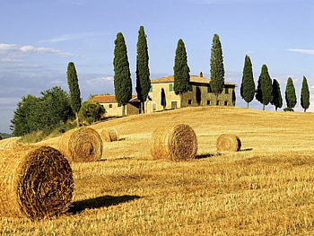 Landscape, Houses, Fields HD wallpaper