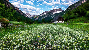 Julian Alps, Slovenia, mountains, house, blossoms, clouds, meadow, sky HD wallpaper