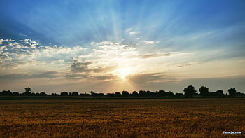 sun eat day, sun, evening HD wallpaper