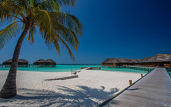 Nature, Beach, Sand, Palm, Tropics, Bungalow HD wallpaper