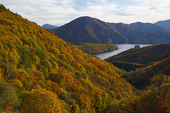 Landscape, Nature, Rivers, Trees, Mountains, Autumn, Forest HD wallpaper
