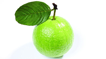 Guava background, Vibrant , Exotic fruit, beauty HD wallpaper