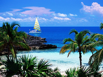 Landscape, Water, Sea, Yachts, Palms HD wallpaper