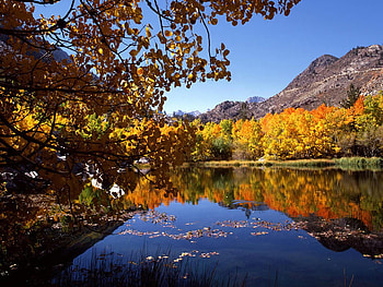 LAKE WITH A NICE SHORELINE, gorgeous, beautiful, calm, lake HD wallpaper