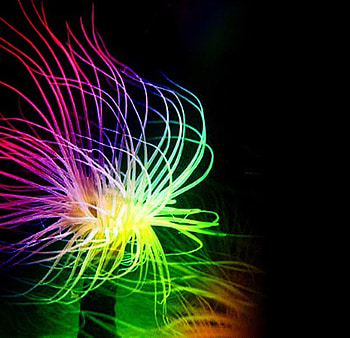 Rainbow Optics, colorful, optics, rainbow HD wallpaper