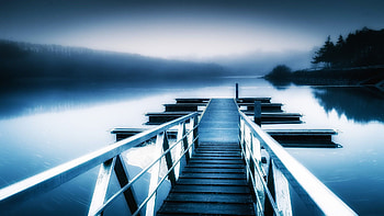 Foggy morning, fog, nature, haze, lake HD wallpaper