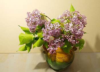 Flowers, Lilac, Branches, Bouquet, Vase, Spring HD wallpaper