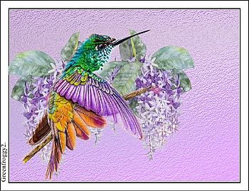 HUMMINGBIRD AND FLOWERS, ART, FLOWERS, BIRD, ABSTRACT HD wallpaper