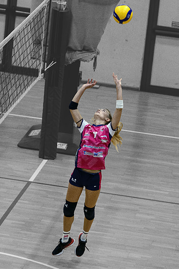 Sports, volleyball HD phone wallpaper