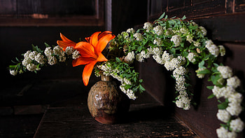 Ikebana ultra , beauty, Ikebana for TV, Tablet and smart HD wallpaper