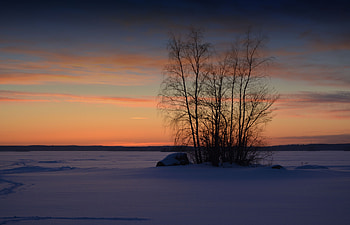 Sunset, landscape, winter, skyline, trees HD wallpaper